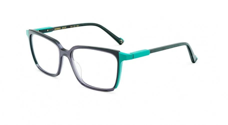 Etnia Barcelona SUSSEX Eyeglasses - view 9